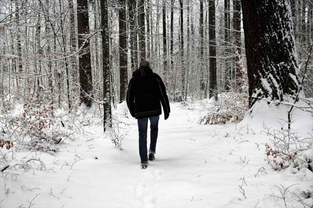 walking meditation in the snowy woods