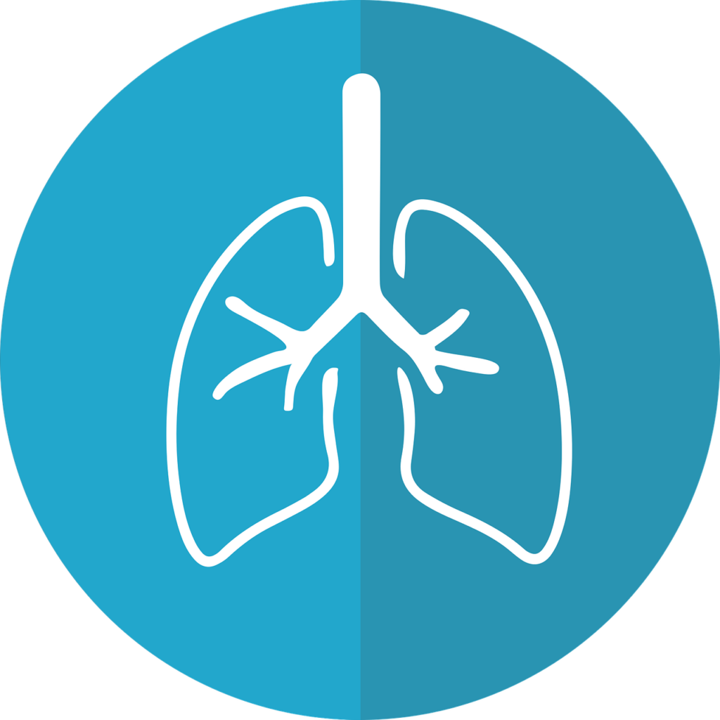 healthy lungs icon 